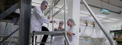 Studium mit vertiefter Praxis Lebensmitteltechnologie
